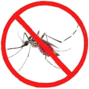 No Mosquito Guarantee biligiri pest control services 